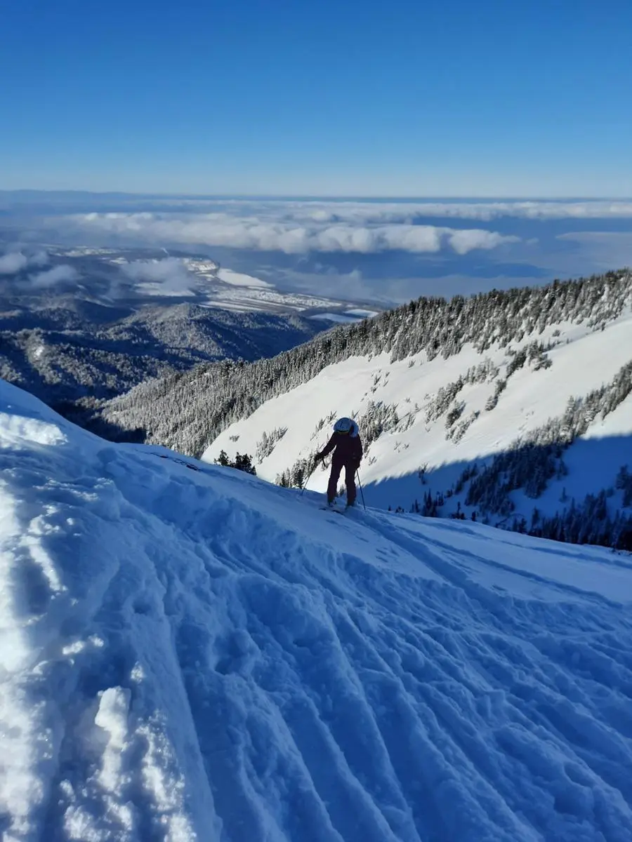 Skiing an open slope above the treeline